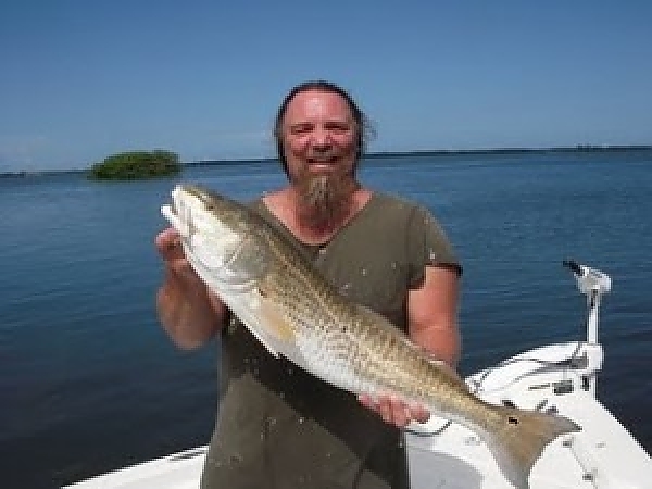 August Tampa Fishing Report!