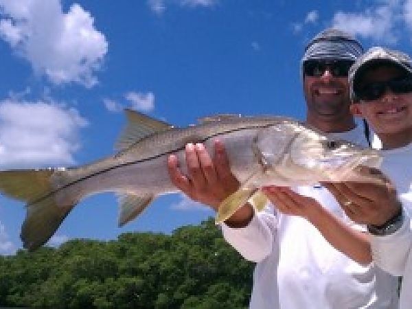 Tampa Snook Fishing is Hot!