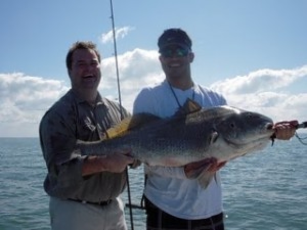 March Tampa Fishing Report!