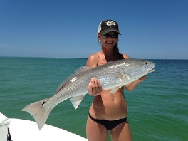 Tampa Bay Redfish