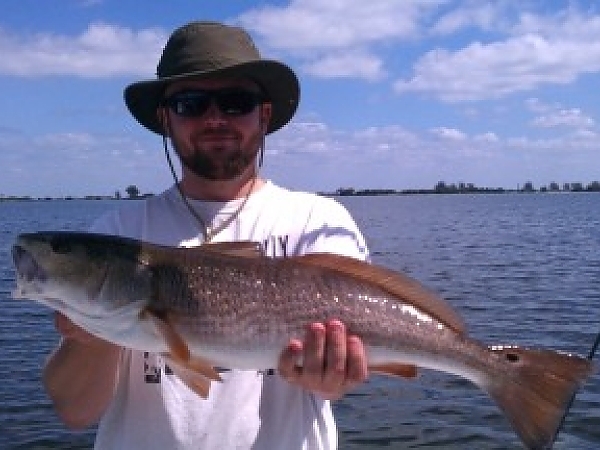 Redfish, Redfish and More Redfish…