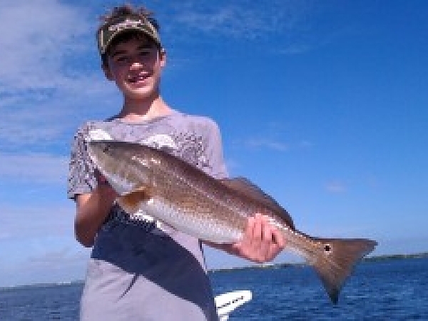 Tampa Redfish Action